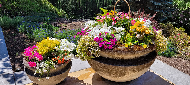 container planting ideas