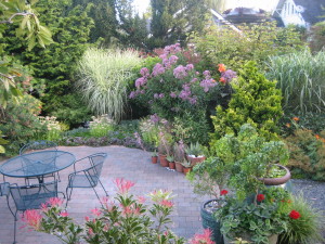 Patio Container Garden in Bloom
