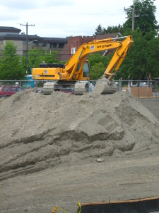 dirt (1)