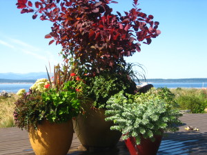 mckennawhspring2012 (19)